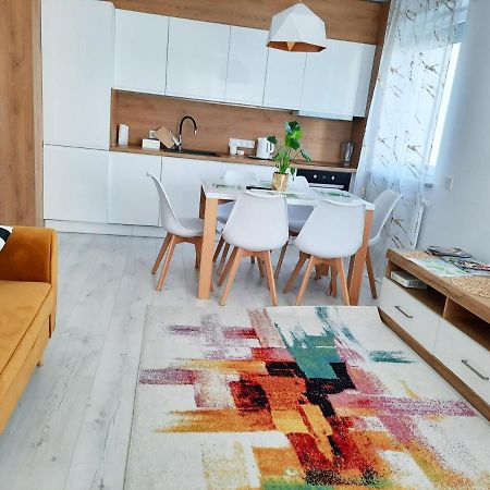 Apartament Amber Comfort Z Prywatnym Miejscem Parkingowym コウォブジェク エクステリア 写真
